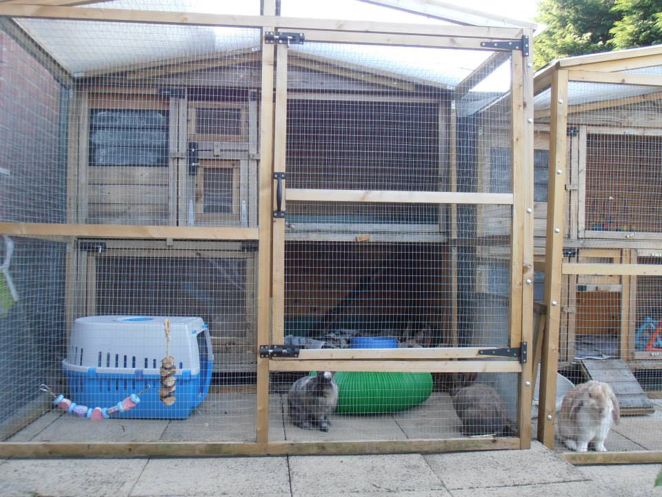 Winnersh Warren Bunny Boarding Kennel