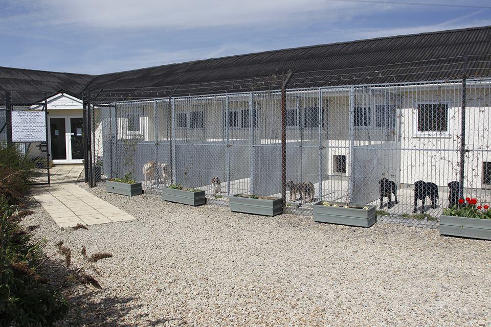 Photo of Acremead