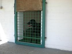 Rose Cottage Boarding Kennel
