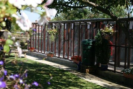 Aston Clinton Boarding Kennel