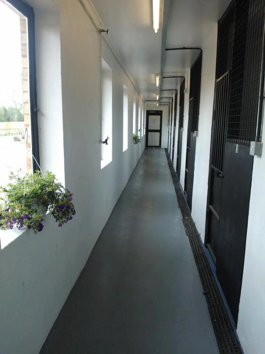 Acorn Boarding Kennel