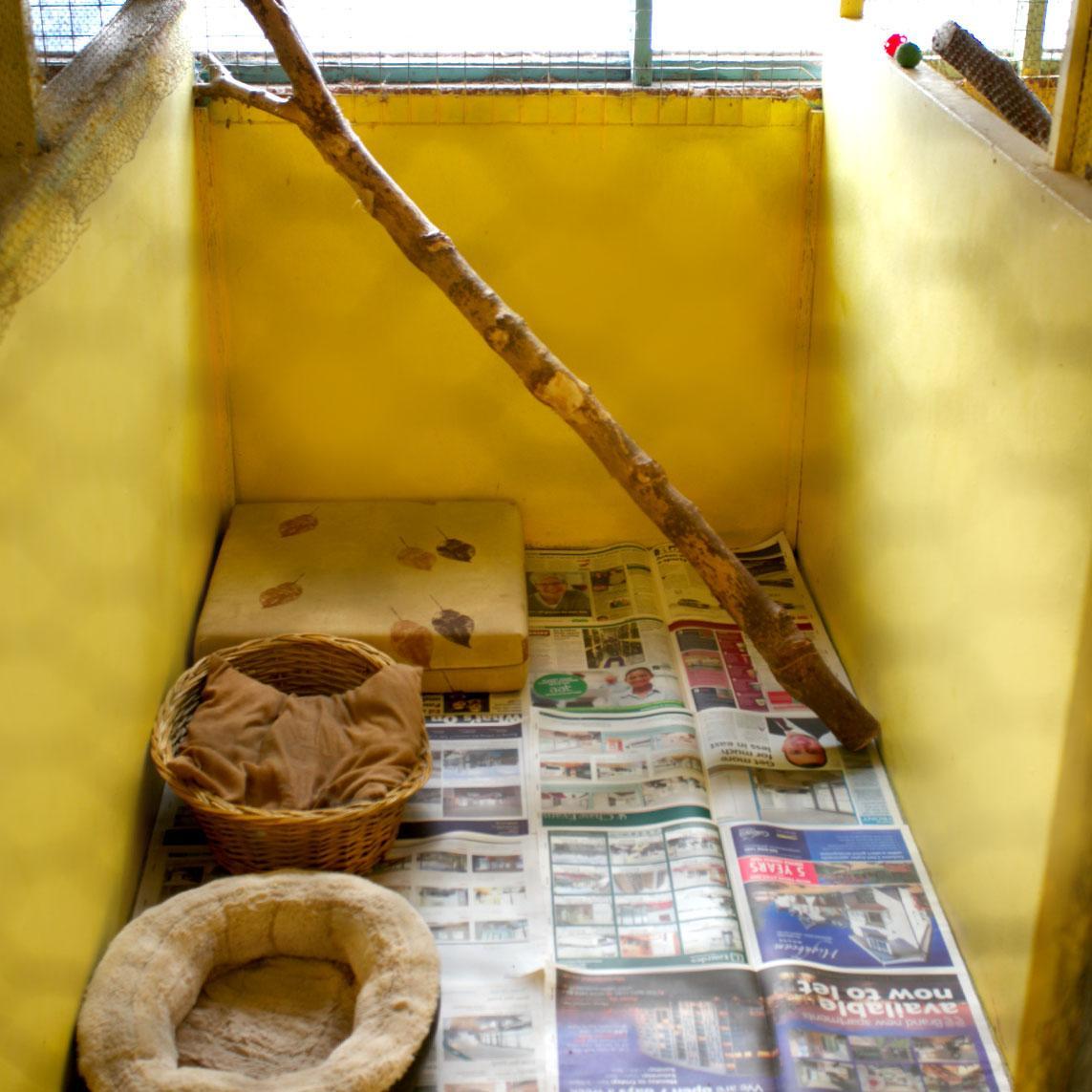 Green Meadows Boarding Kennel