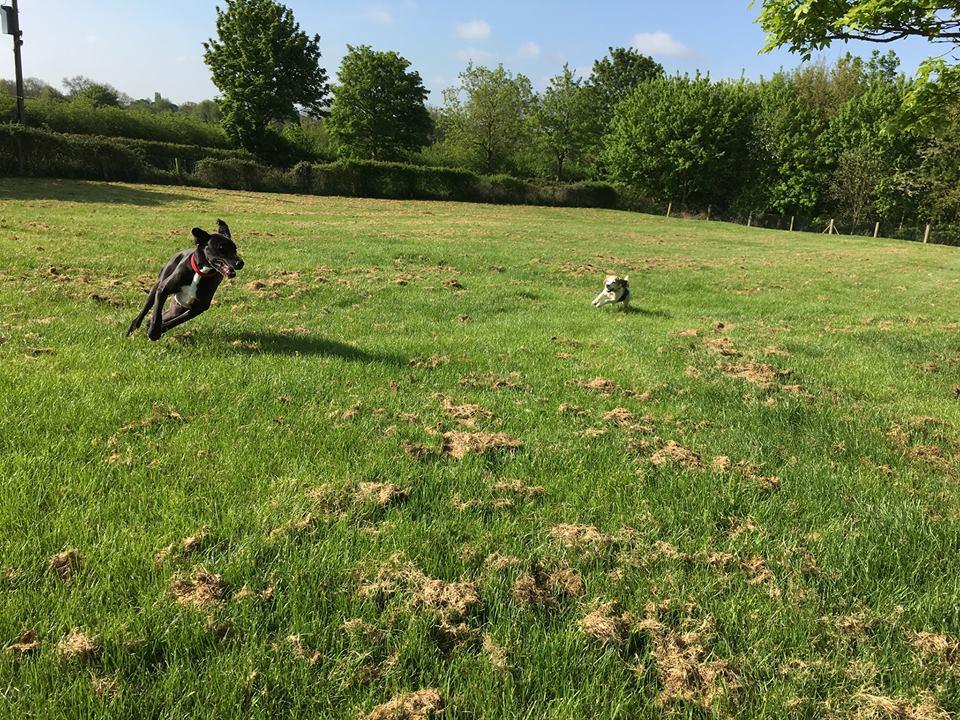 Photo of Rookery Farm