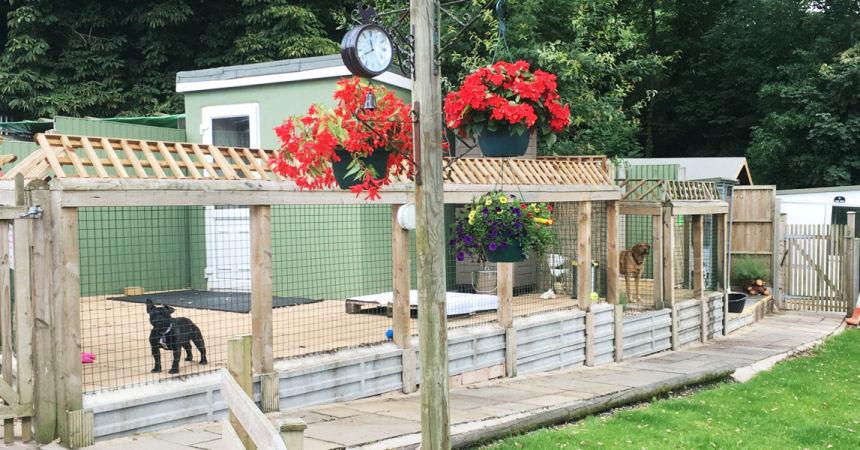 Misbourne Vallery Boarding Kennel