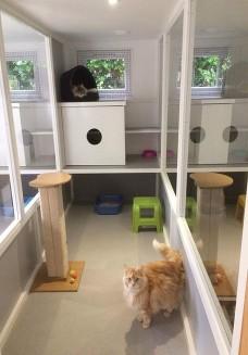 Moggie Motel Boarding Kennel
