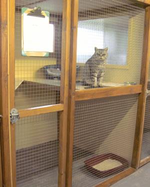 Huntingford Boarding Kennel