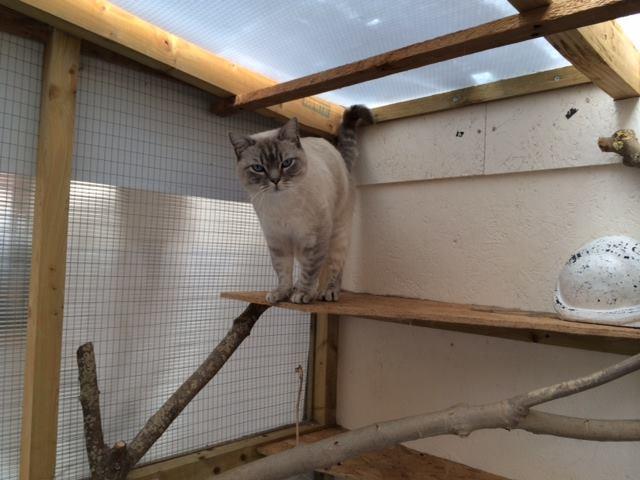 Photo of Harley