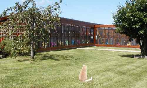 Cleeve Country Boarding Kennel