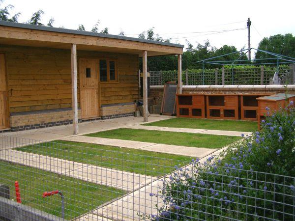Abington and Pet Hotel
