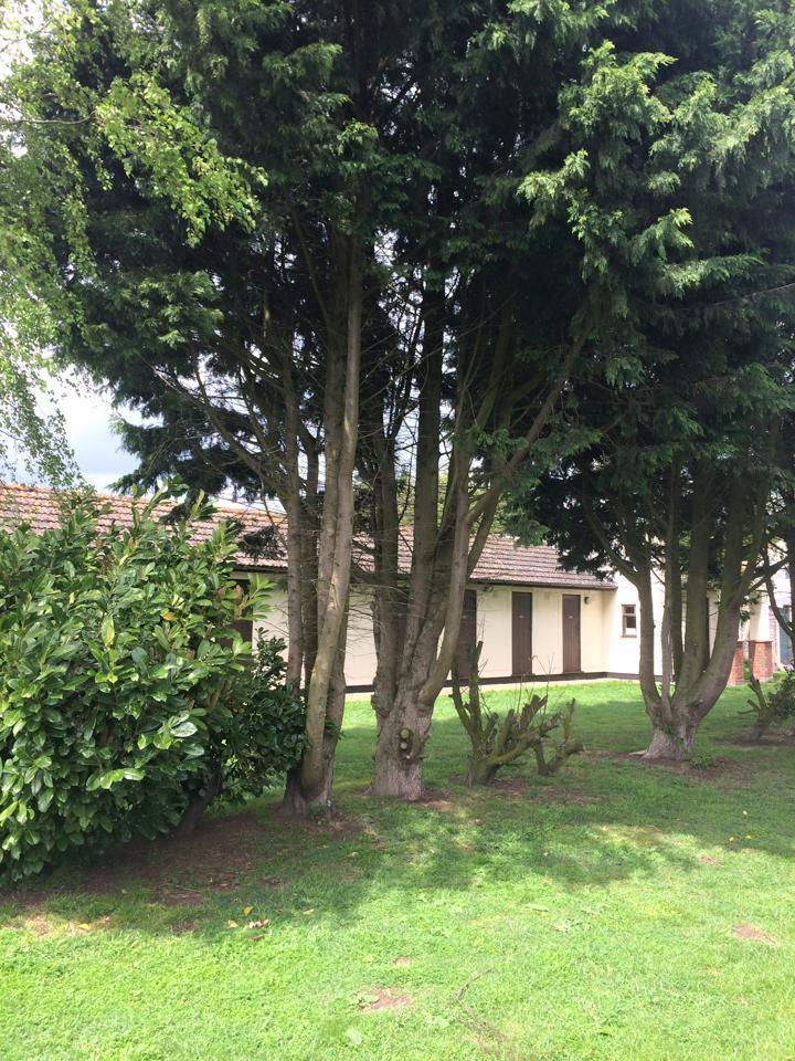 Third Bridge Holiday Home for Dogs Boarding Kennel