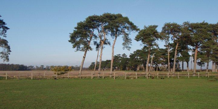 Lindcoly Country Boarding Kennel