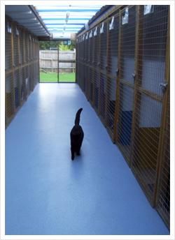 Baytree Small Animal Boarding Kennel