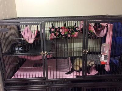 Bumbles Small Pet Boarding Kennel
