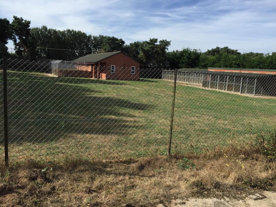 Pine Farm Boarding Kennel
