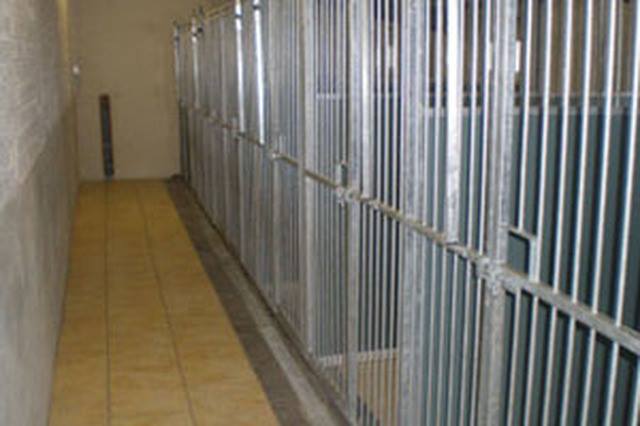Daisy Bank Boarding Kennel