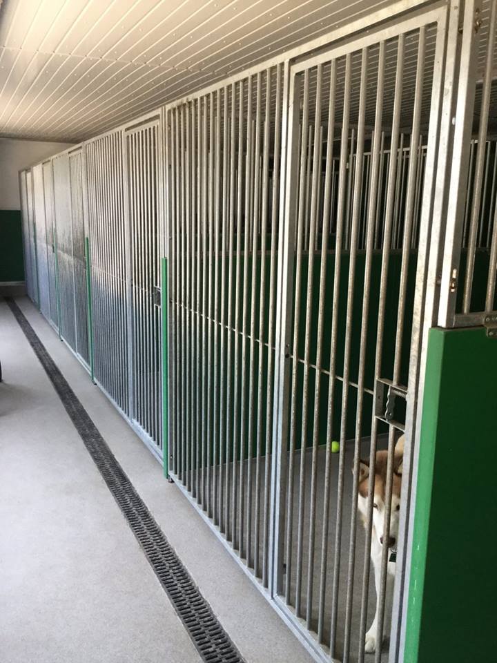 Portford Farm Boarding Kennel