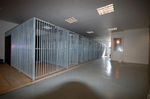 Rocks Boarding Kennel