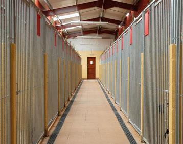 Ridge Hill Boarding Kennel