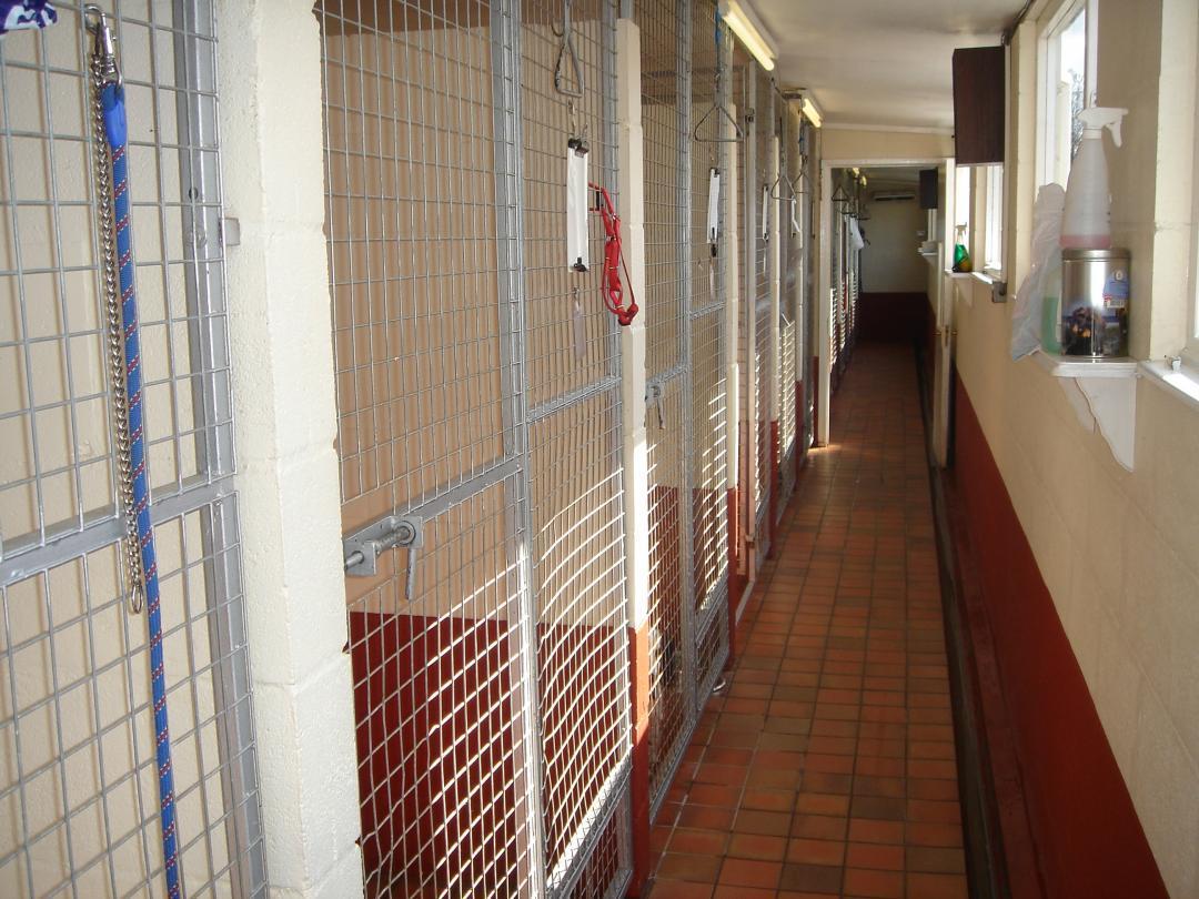 Hollybank Boarding Kennel