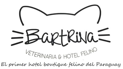 registro marca2