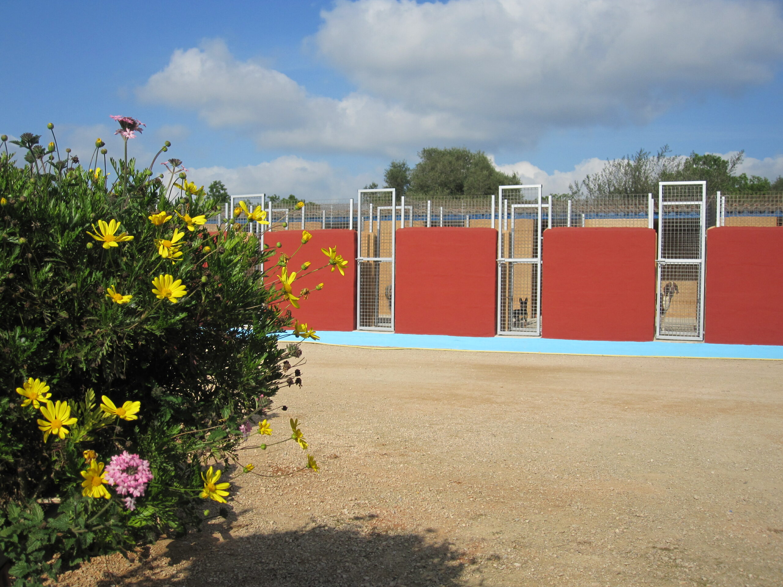 Residencia canina y felina Von Falkenau