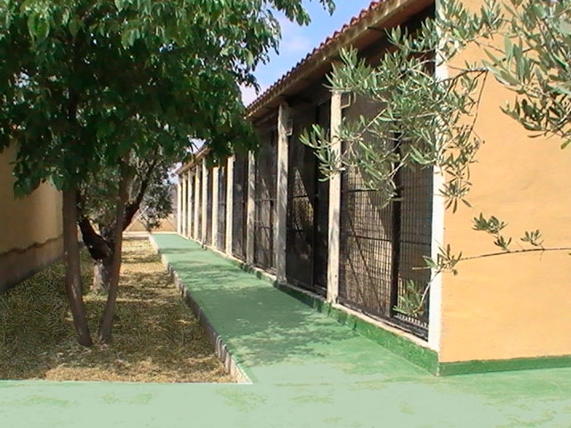 Residencia canina Ngorong