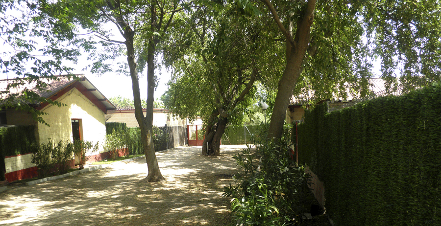 Residencia canina y felina Solycan