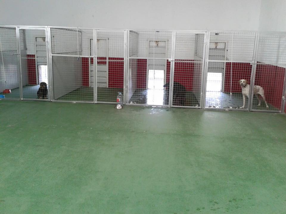 Foto de Mascotas suites