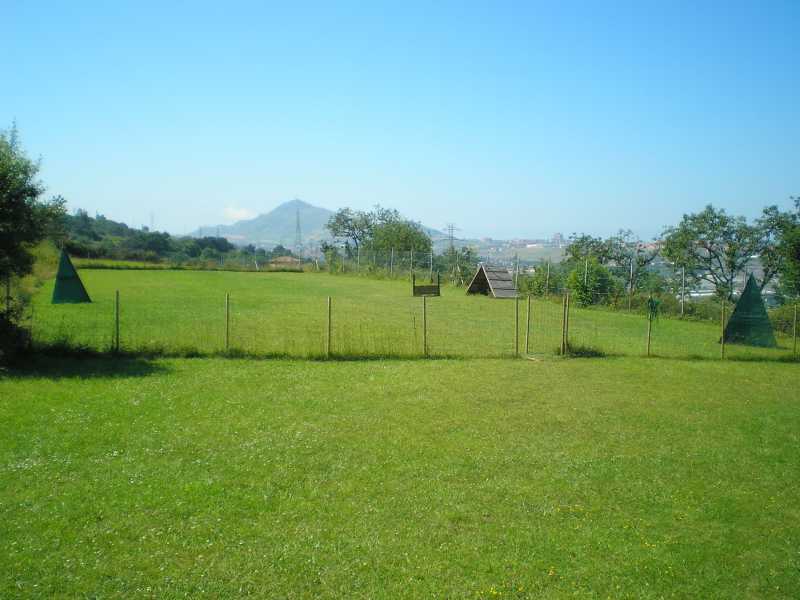 Residencia canina y felina Eurocan