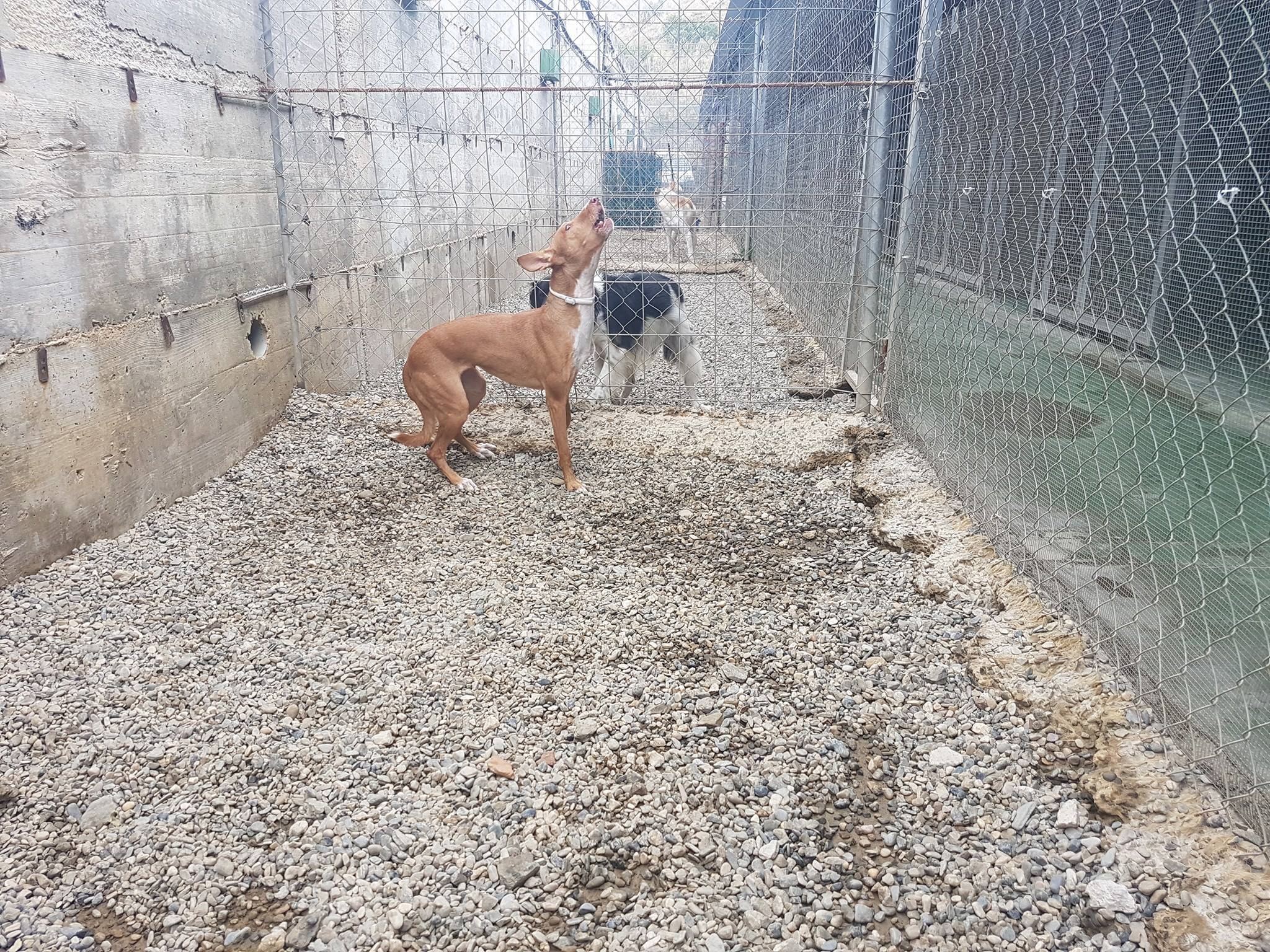 Foto de Mi casa