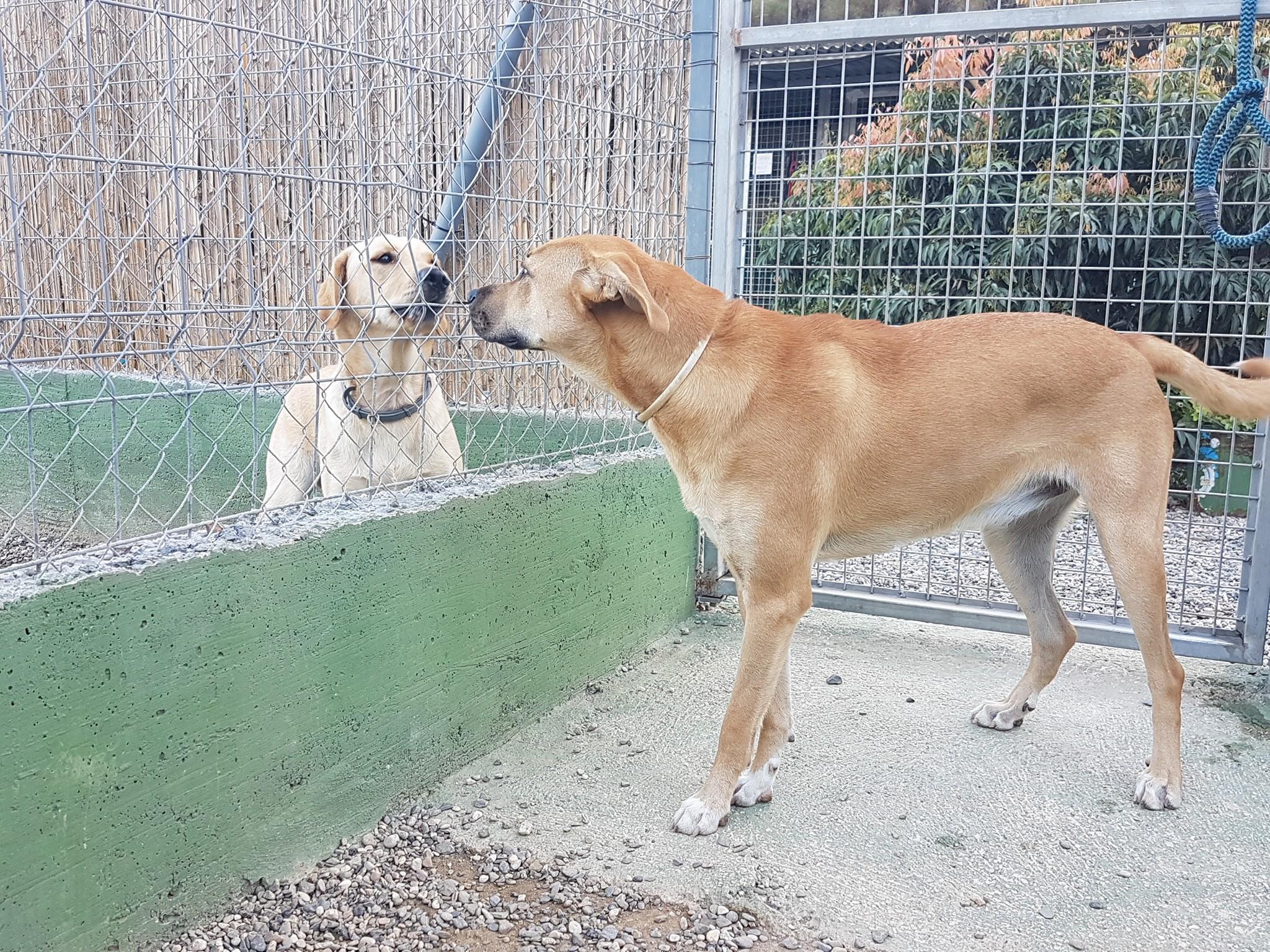 Foto de Mi casa