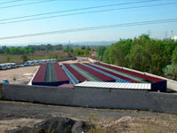 Residencia canina El Espolón