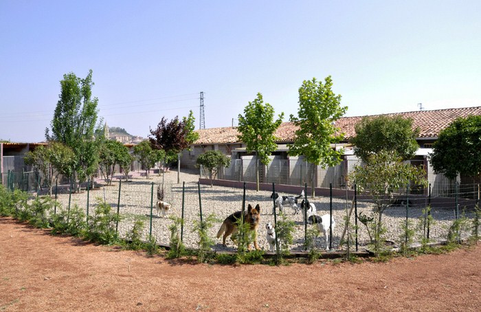 Residencia canina Loumafar