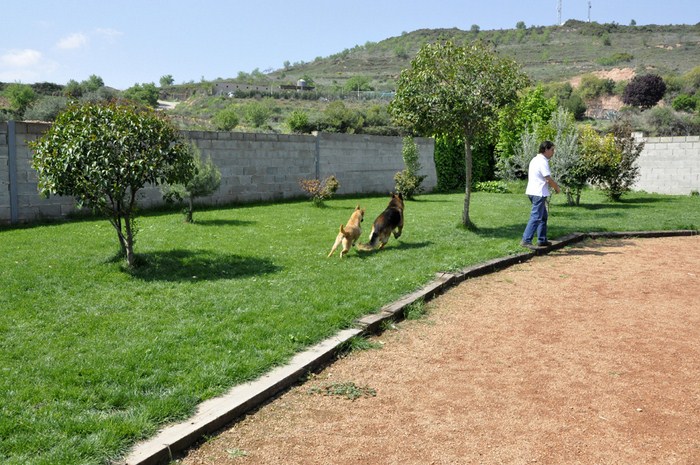 Foto de Loumafar