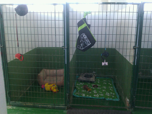 Residencia canina Sultan
