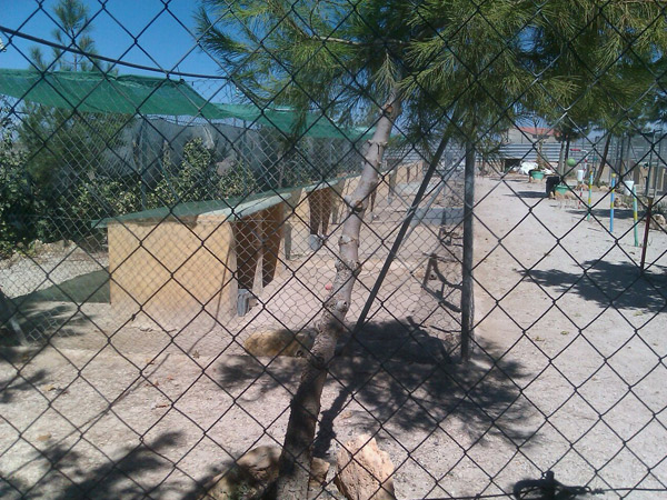 Foto de Sultan