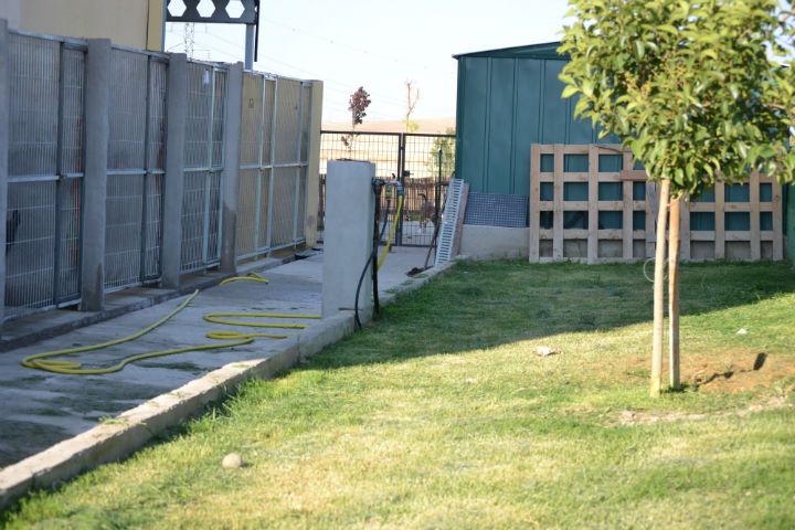 Residencia canina Toracan