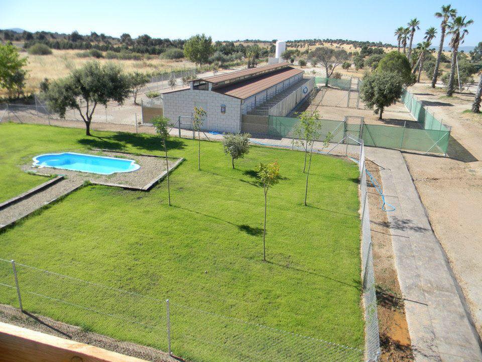 Residencia canina Mascout