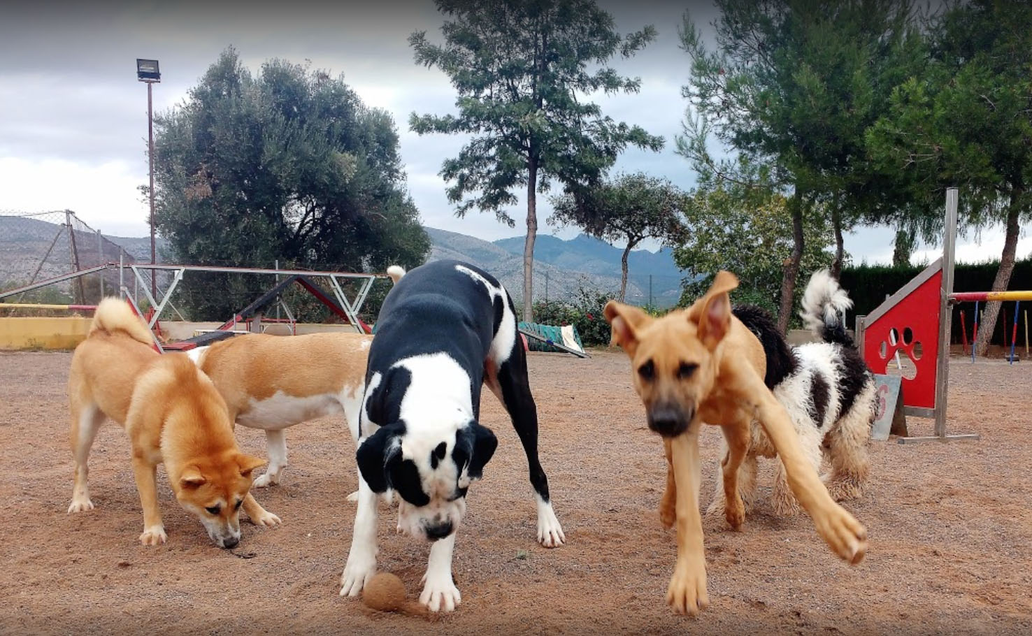 Foto de Mediterranea