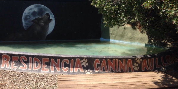 Residencia canina y felina Aullidos