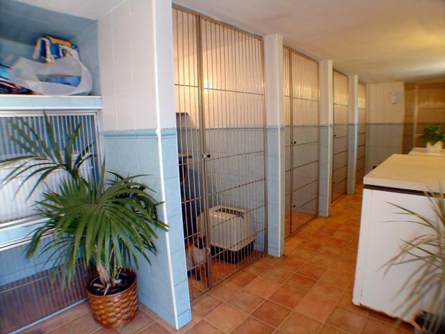 Residencia canina Hospital veterinario ferral
