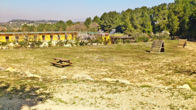 Residencia canina Can Galatea