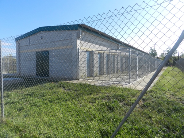 Foto de Las Jaras
