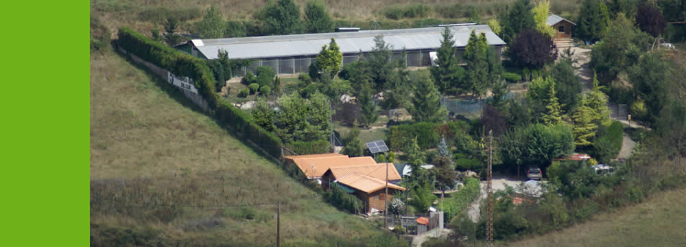 Residencia canina y felina Del Cadi