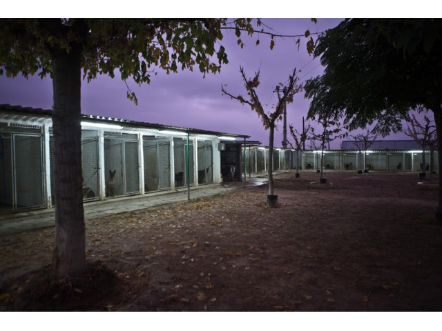 Residencia canina BorgesCan