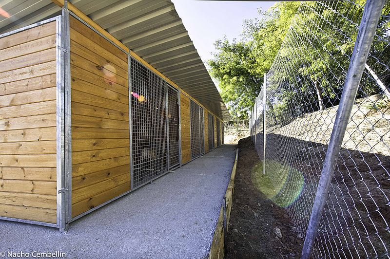 Residencia canina Mi Perro 10
