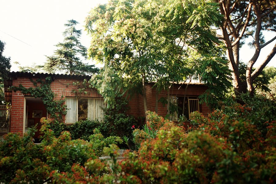 Residencia canina El Tomillar