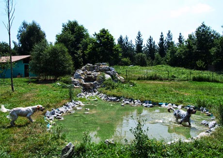 Residencia canina Basajaun