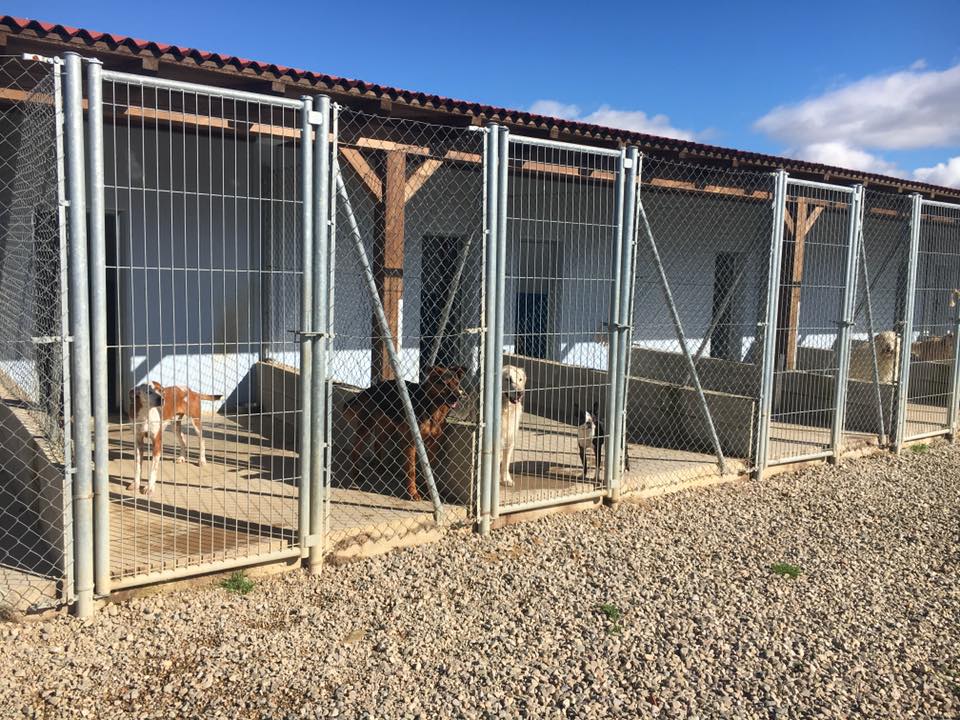 Residencia canina La Burra Lola