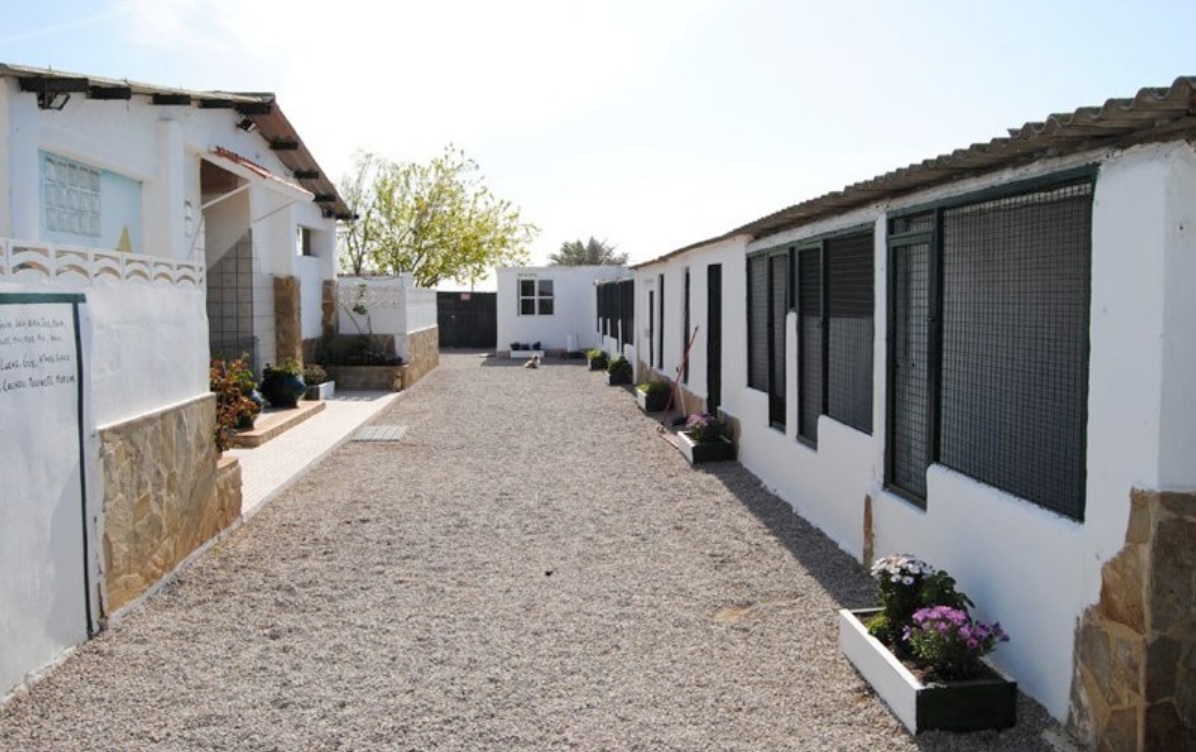 Residencia canina y felina El Parque